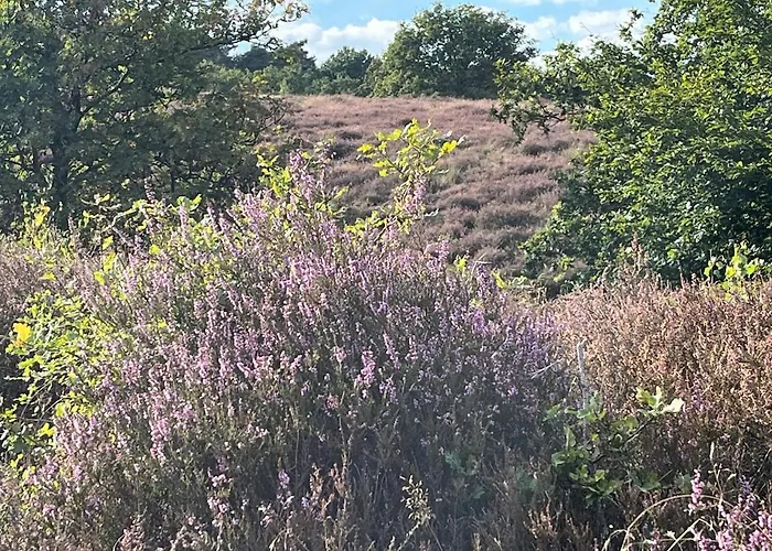 Semesterbostad Bernadette