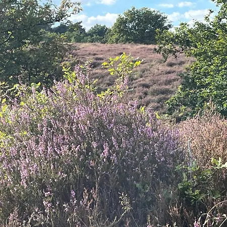 Prázdninový dům Bernadette